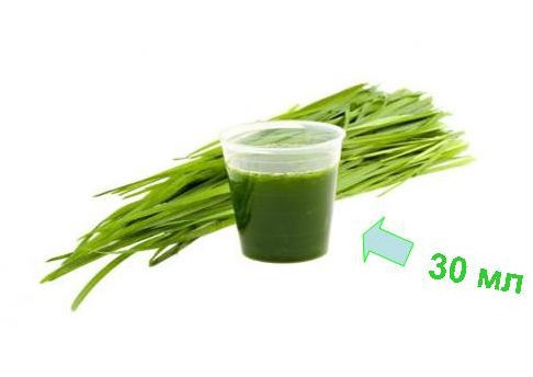 Презентация22