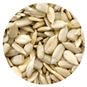 http://www.counter-intelligence.nl/wp-content/uploads/2016/07/sunflowerseed.png