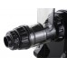 Шнековая соковыжималка Vidia SJ-002 Silver, Red, White